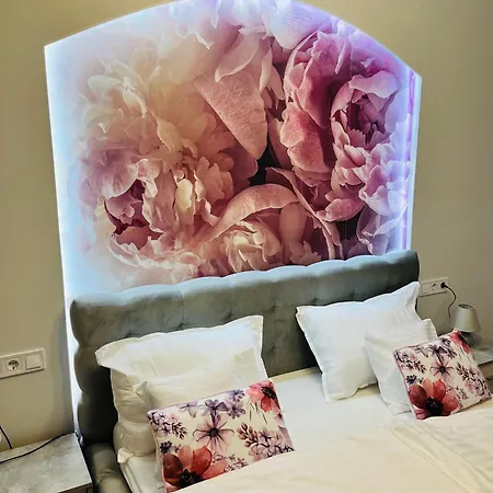 4ml Boutique شقة *